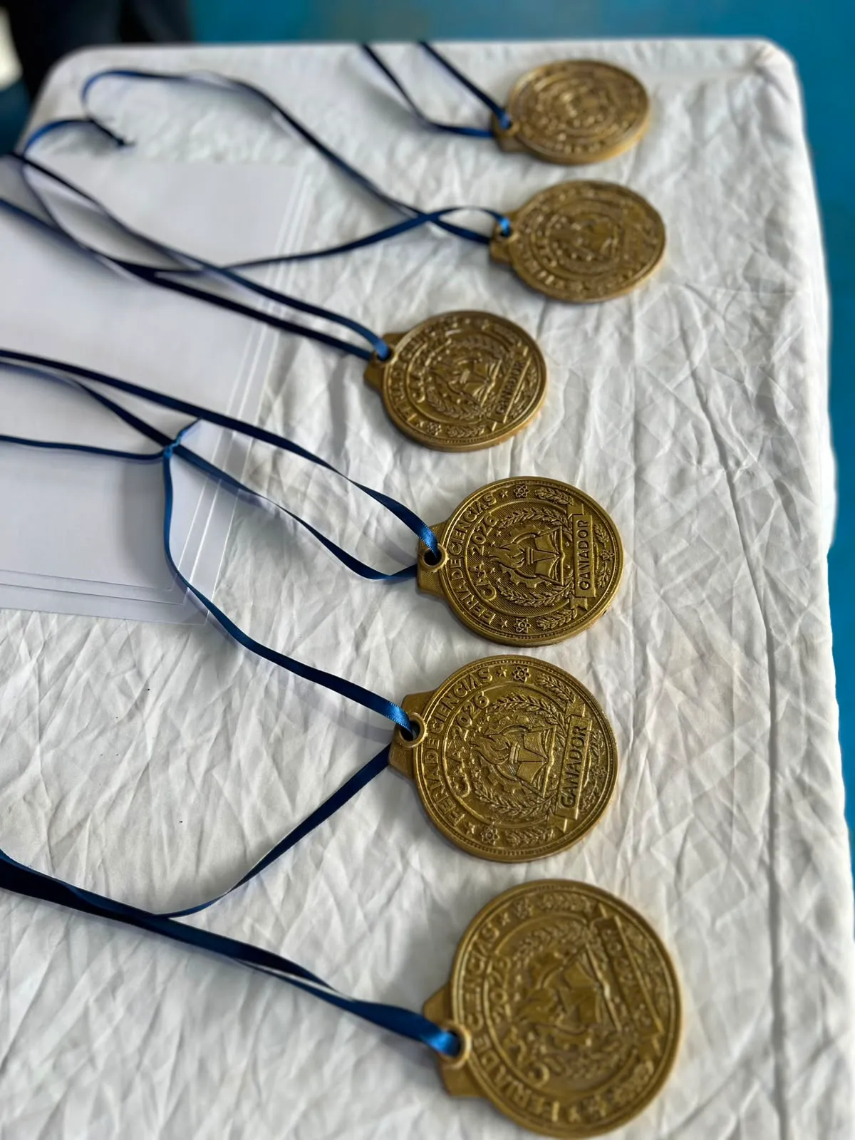 XXIX Feria de Ciencias — Nivel Secundario — imagen 8