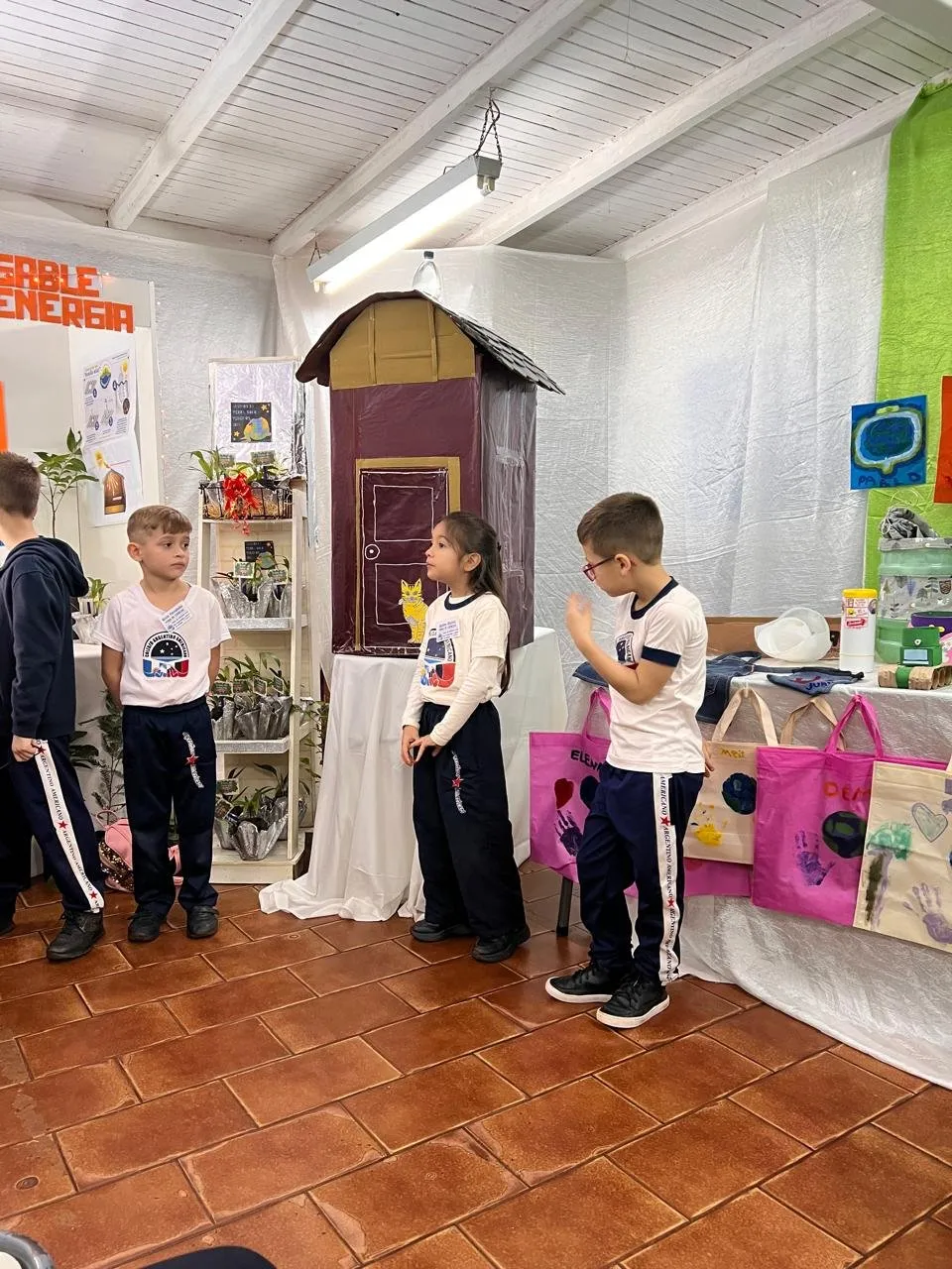 XXIX Feria de Ciencias — Nivel Primario — imagen 14