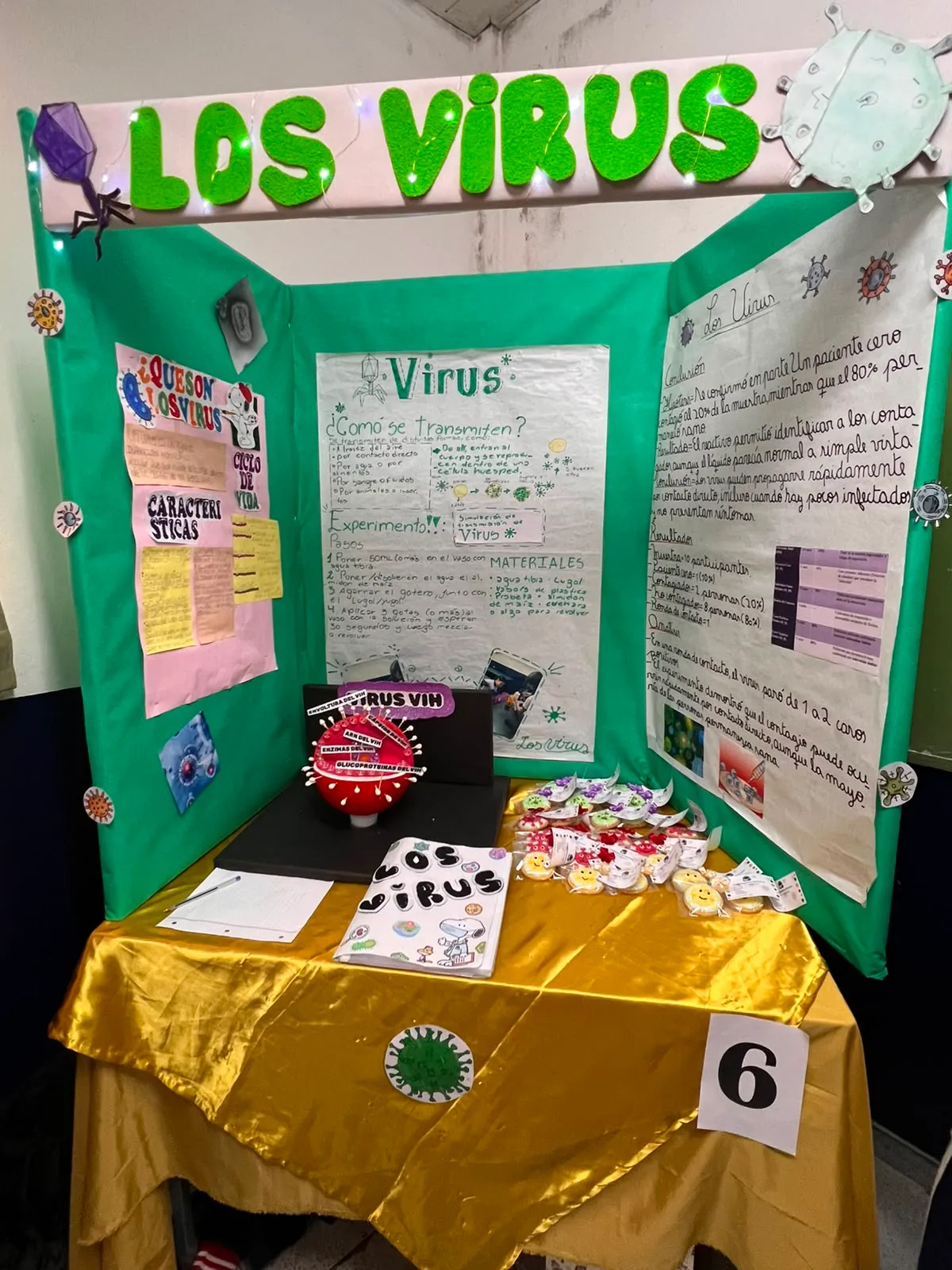 XXIX Feria de Ciencias — Nivel Secundario — imagen 6